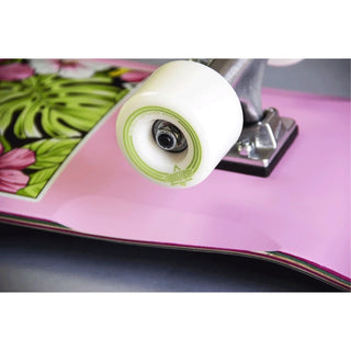 Dusters Complete Tropic Cruiser Pink 29"