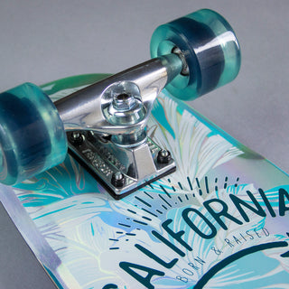 Dusters Complete Beach Cruiser Skateboard Prism Teal/Holographic 29"