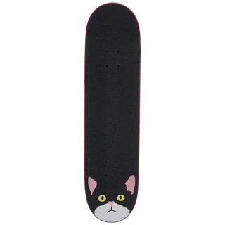 Enjoi Skateboard Litter Box Premium 8.0"