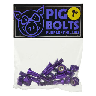 Pig Skateboard Mounting Hardware Phillips Purple 1"