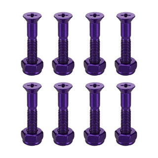 Pig Skateboard Mounting Hardware Phillips Purple 1"