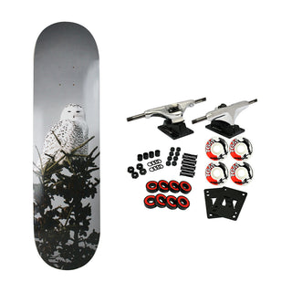 All I Need Complete Trembley Snow Owl 8.1"