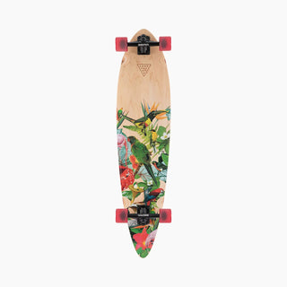 Landyachtz Complete Longboard Condor Paradise Flexy Pintail 9.9" x 41"