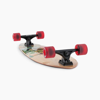 Landyachtz Complete Longboard Condor Paradise Flexy Pintail 9.9" x 41"