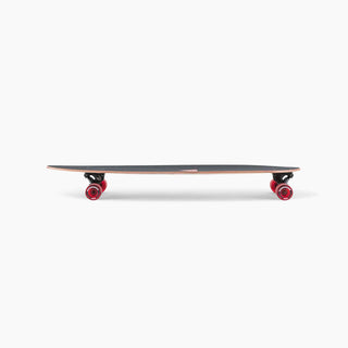 Landyachtz Complete Longboard Condor Paradise Flexy Pintail 9.9" x 41"