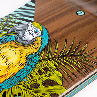 Sector 9 Longboard Complete Fault Line Perch Drop Down 9.75" x 39.5"