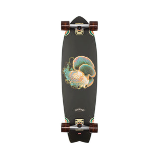 Globe Cruiser Chromantic Bio-Morph 9.5" x 33"