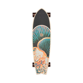 Globe Cruiser Chromantic Bio-Morph 9.5" x 33"