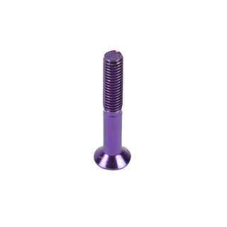 Dime Bag Skateboard Mounting Hardware 1.25" Phillips Purple Nuts and Bolts