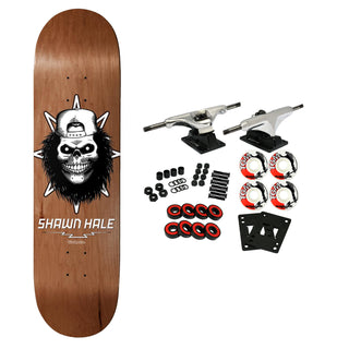 Birdhouse Complete Hale Skull 8.63" x 32" Assorted Colors