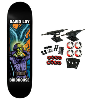 Birdhouse Skateboard Complete David Loy Second Life 8.5" x 31.5"