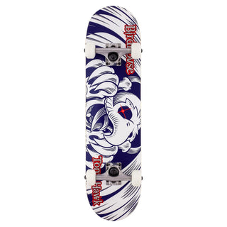 Birdhouse Complete Hawk Falcon Mini 7.38"