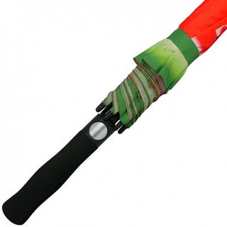 Axiom Special Edition Watermelon Disc Golf Umbrella