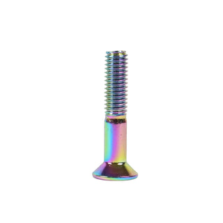 Dime Bag Skateboard Mounting Hardware 1" Phillips Oil Slick Bolts / Silver Nuts
