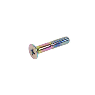 Dime Bag Skateboard Mounting Hardware 1" Phillips Oil Slick Bolts / Silver Nuts