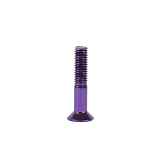 Dime Bag Skateboard Mounting Hardware 1" Phillips Purple Nuts and Bolts