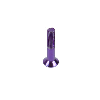 Dime Bag Skateboard Mounting Hardware 1" Phillips Purple Nuts and Bolts