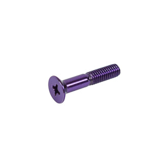 Dime Bag Skateboard Mounting Hardware 1" Phillips Black and Purple Nuts and Bolts