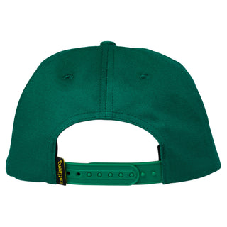 Anti Hero Skateboards Hat Pigeon Round Snapback Dark Green