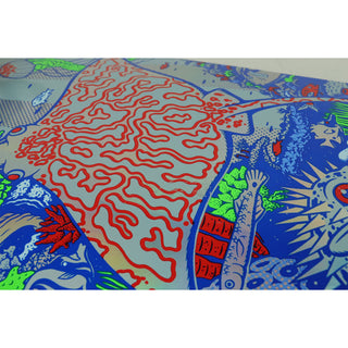 Blem Santa Cruz Skateboard Assembly Winkowski Aquatic 10.34" x 30.54" Complete