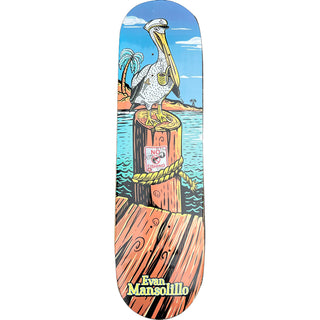 All I Need Skateboard Deck Mansolillo Pelican 8.25"