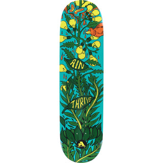 All I Need Deck Thrive 8.1"