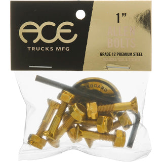 Ace Trucks Skateboard Mounting Hardware Gold 7/8" Allen