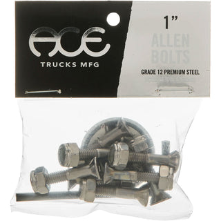 Ace Trucks Skateboard Mounting Hardware Silver 1 1/4" Allen