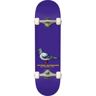 Anti Hero Skateboard Complete Pigeon Purple 7.5" x 29" Factory Assembled