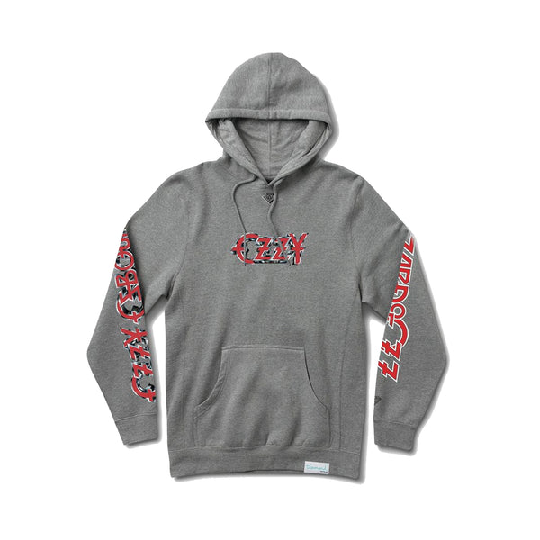 トップス DWS TOWN SWEATSHIRTS charcoal XXL Amazon.com: Dresden Skyline Pullover Hoodie : Clothing