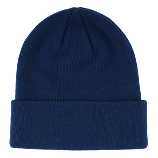 Santa Cruz Skateboards Beanie Wave Dot Harbor Blue