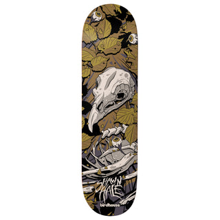Birdhouse Skateboard Complete Shawn Hale Tillbrook 9.0" x 31.75"