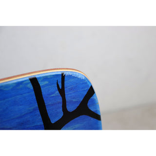 Blem Birdhouse Skateboard Deck Tony Hawk Bat 10.25" x 32.75" Complete
