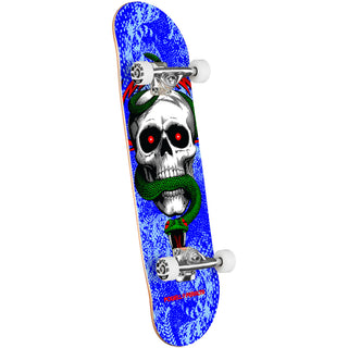 Powell Peralta Skateboard Complete Skull and Snake Blue 8.25" x 31.95"