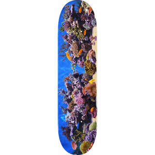 Powell Mini Logo Deck K20 Fish Tank 8.0" x 31.45"
