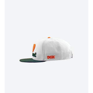 DGK Skateboards Hat Haters Snapback White/Green
