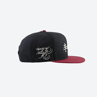 DGK x Bruce Lee Balance Snapback Hat - Black
