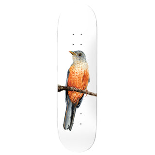 Deathwish Premium Complete Skateboard Yuri Sabia-Laranjeira 8.125" Ft. Independent/Satori