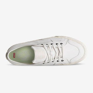 Globe Skateboard Shoes Surplus White/Montano