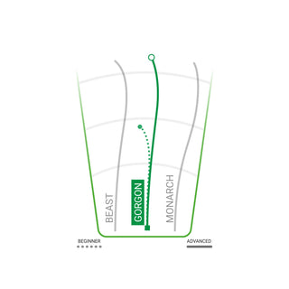 Innova Disc Golf Halo Star Gorgon Distance Driver 10/6/-2/1 Green White/Matrix 168 grams