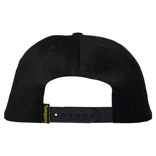 Anti Hero Skateboards Hat Pigeon Motion Snapback Black/Charcoal Black