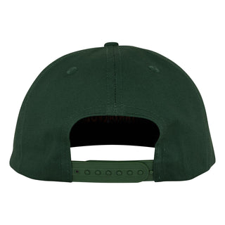 Santa Cruz Skateboards Hat Roskopp Iris Snapback Unstructured Forest