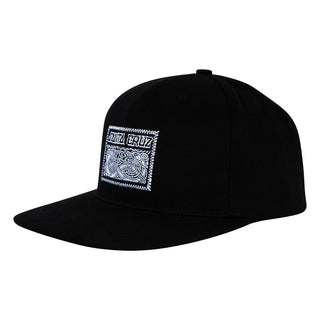 Santa Cruz Skateboards Hat Dressen Celtic Dogs Snapback Structured Black