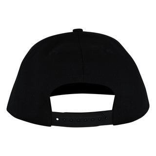 Santa Cruz Skateboards Hat Dressen Celtic Dogs Snapback Structured Black