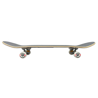Birdhouse Complete Tony Hawk Skull 2 Chrome 7.75"