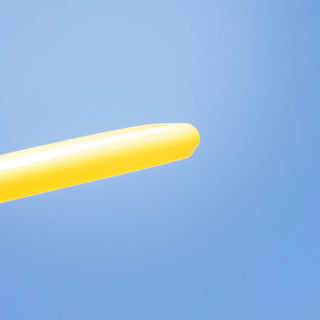 Trash Panda Disc Golf Premium Inner Core Putter 2/4/-0.5/0 - Choose Exact Disc