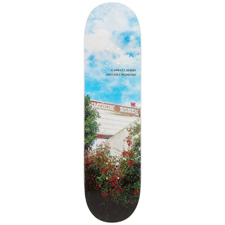 Jacuzzi Skateboard Deck Caswell Berry Smokin Bones 8.25" x 32.1"