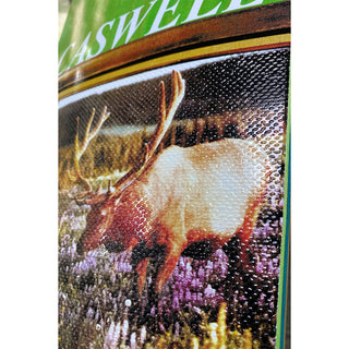 Jacuzzi Skateboard Deck Caswell Berry Venision 8.5" x 31.5"