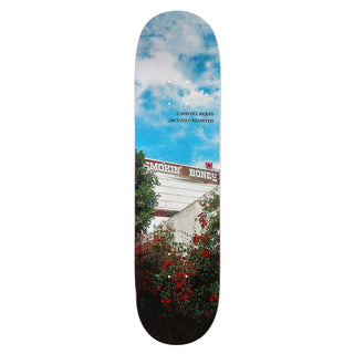 Jacuzzi Premium Skateboard with Indy Trucks, Pig Wheels - 8.5" Berry Smokin Bones