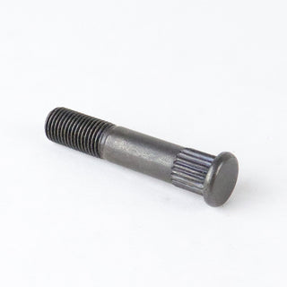 Replacement Skateboard Truck Kingpin and Nut 50mm Black Pound In